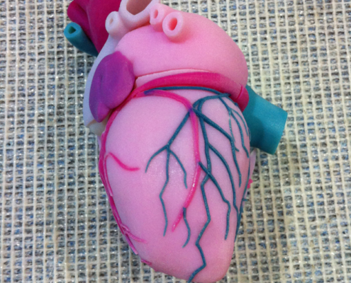 3D Printed Heart Model - Assembling 3