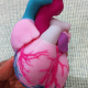 3D Printed Heart Model - Full 2